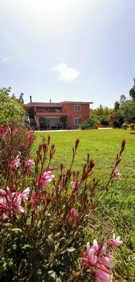Home Garden Siniscola Exterior foto